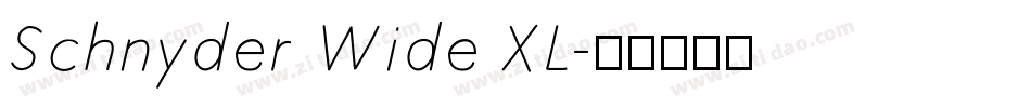 Schnyder Wide XL字体转换